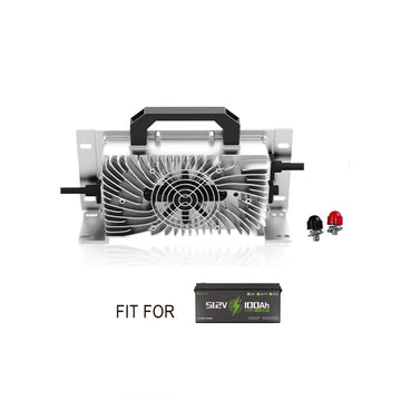 48V（58.4V） 20A LiFePO4 Battery Charger