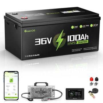 36V 100Ah Golf Cart LiFePO4